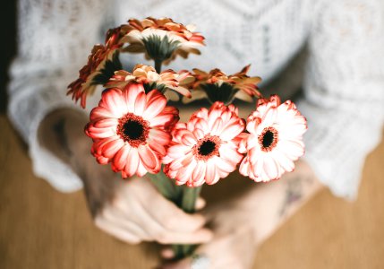 Selective Focus Photography Of Person Holding Red Petaled Flowers photo