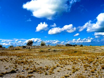 White Clouds