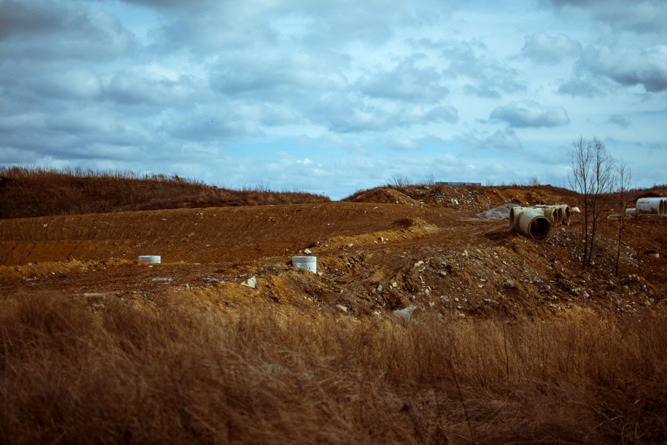 Brown Grass At Daytime