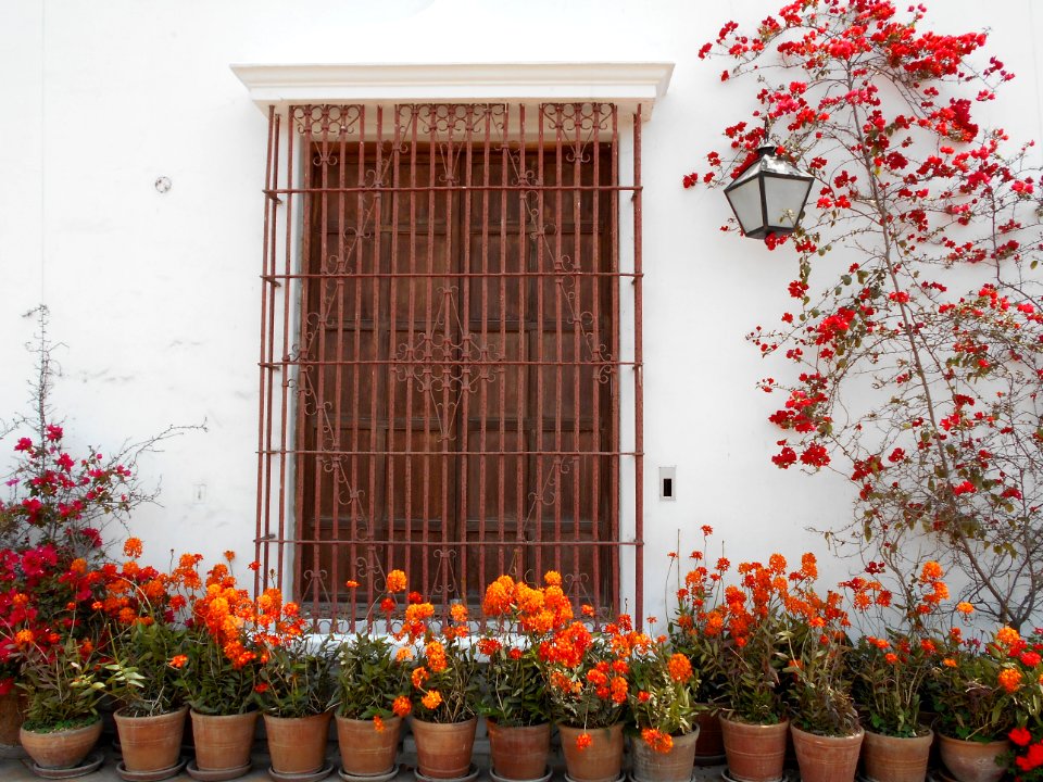 Brown Metal Window Frame Surrounded By Flowers