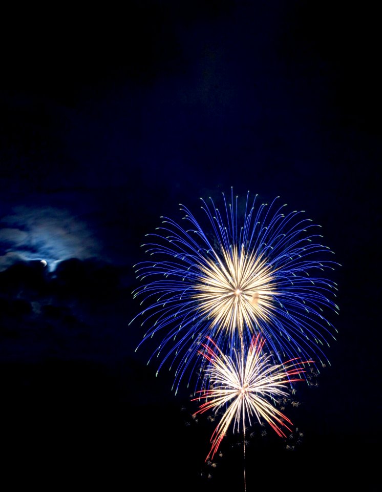 Blue And Red Brocade Fireworks At Night photo