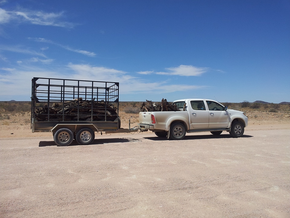 Wood transport vehicle