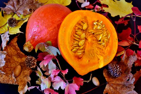 Winter Squash Local Food Vegetable Fruit photo