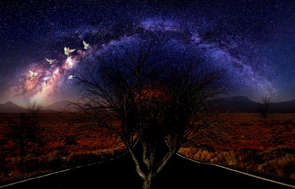 Nature Sky Atmosphere Tree