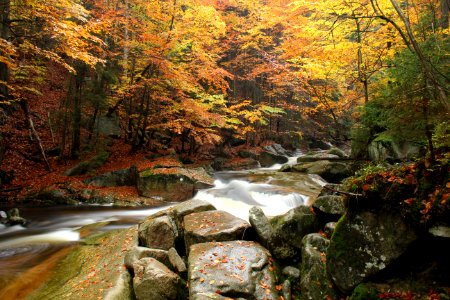 Nature Water Stream Body Of Water photo