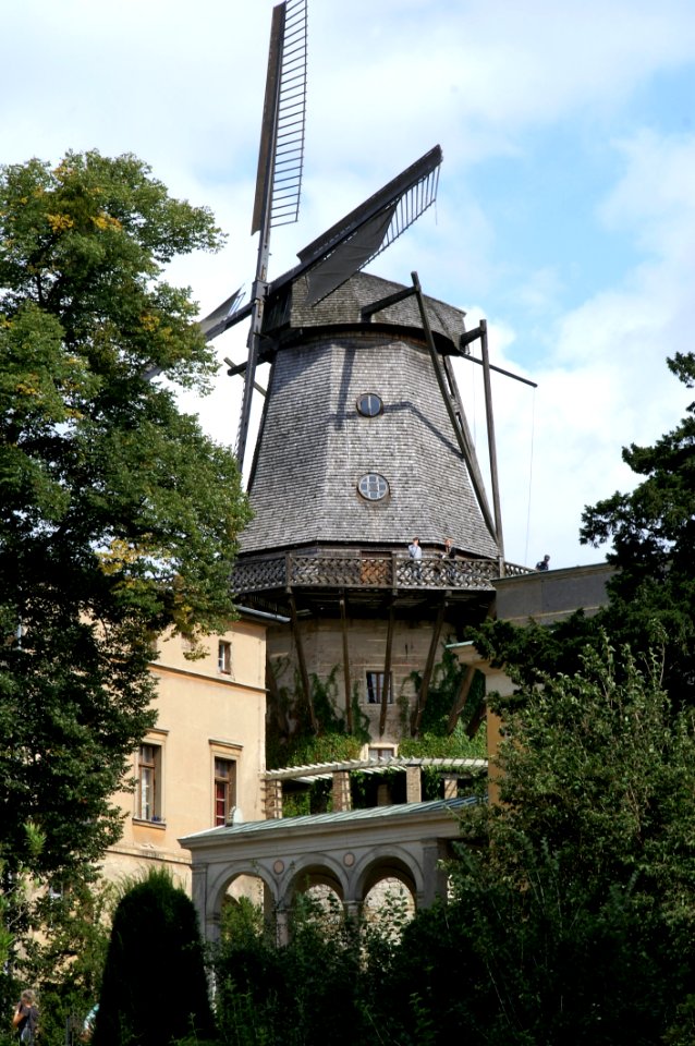 Windmill Mill Building Tree