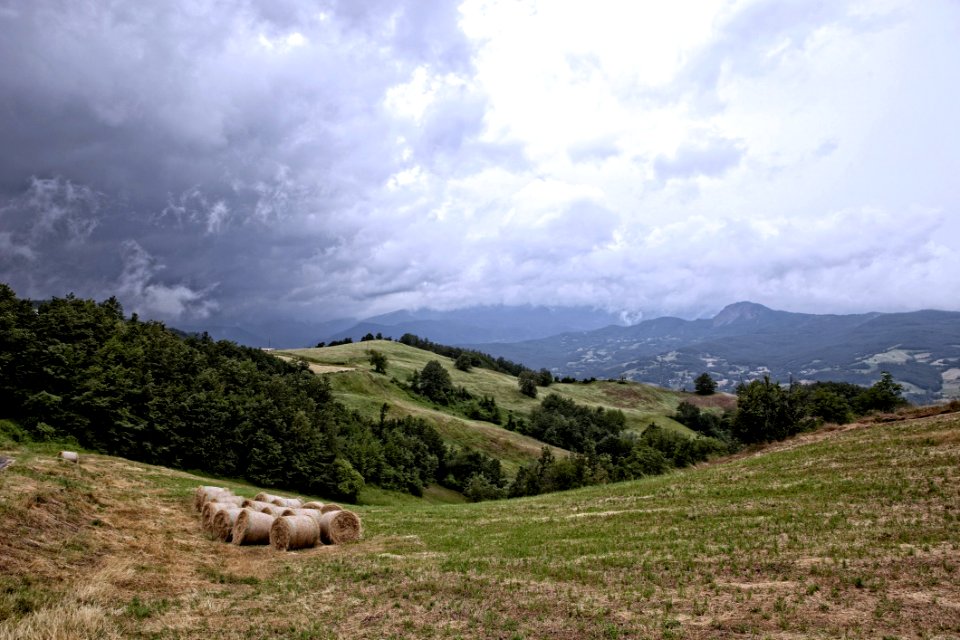 Sky Highland Pasture Grassland photo