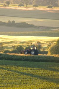 Field Grassland Ecosystem Plain
