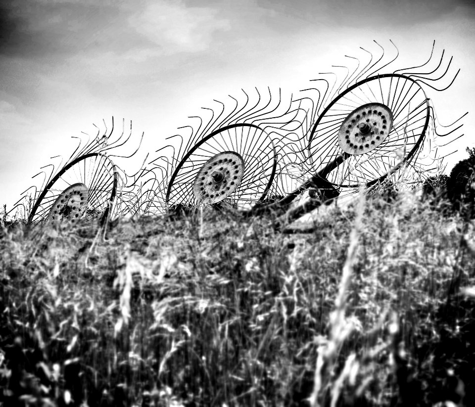 Black And White Monochrome Photography Photography Monochrome