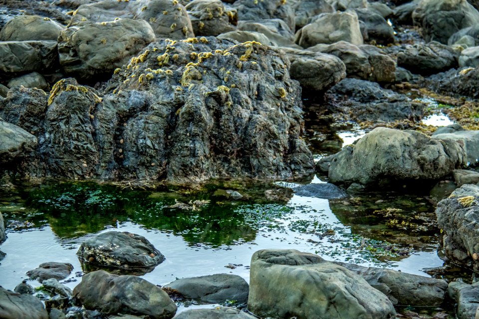 Water Rock Stream Watercourse
