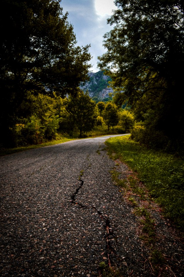 Sky Path Nature Road