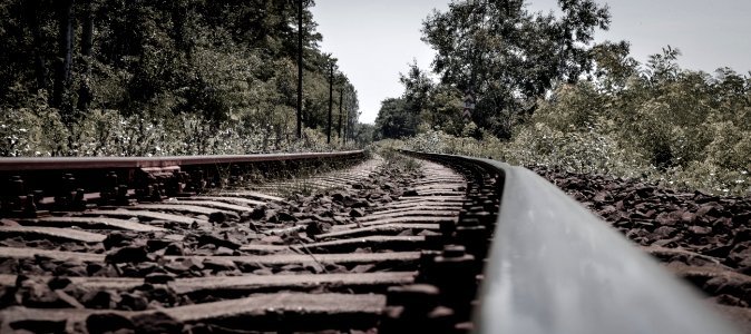 Track Tree Transport Black And White photo