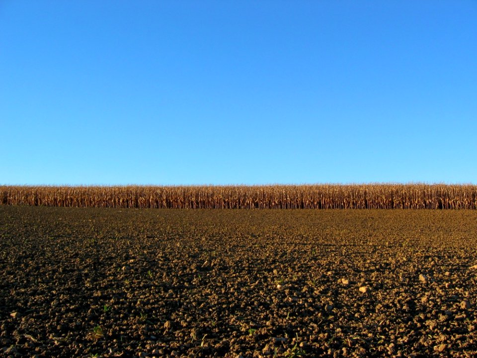 Sky Field Ecosystem Crop