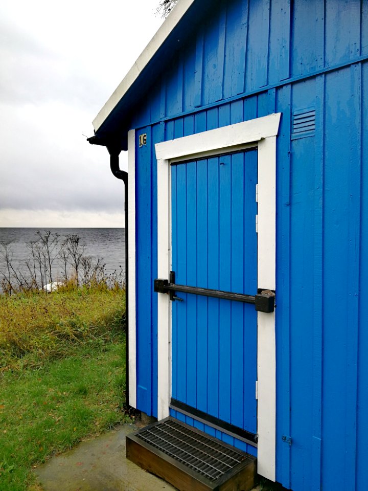Blue Shed House Door