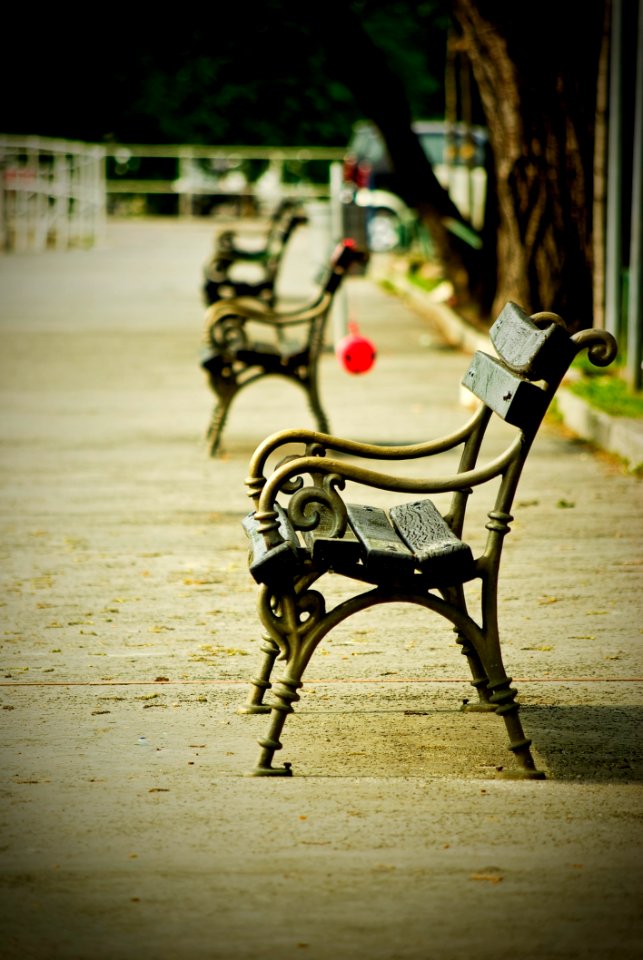 Furniture Tree Chair Sitting