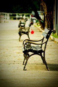 Furniture Tree Chair Sitting