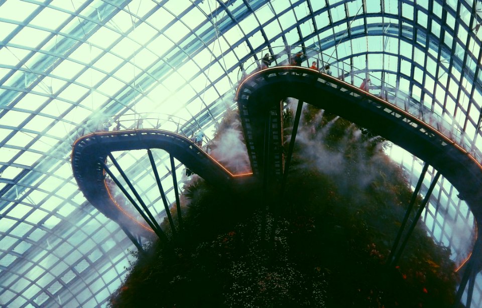 Walkway On Top Of Indoor Garden