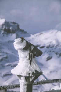 Selective Focus Photography Of Black Camera Covered With Snow photo