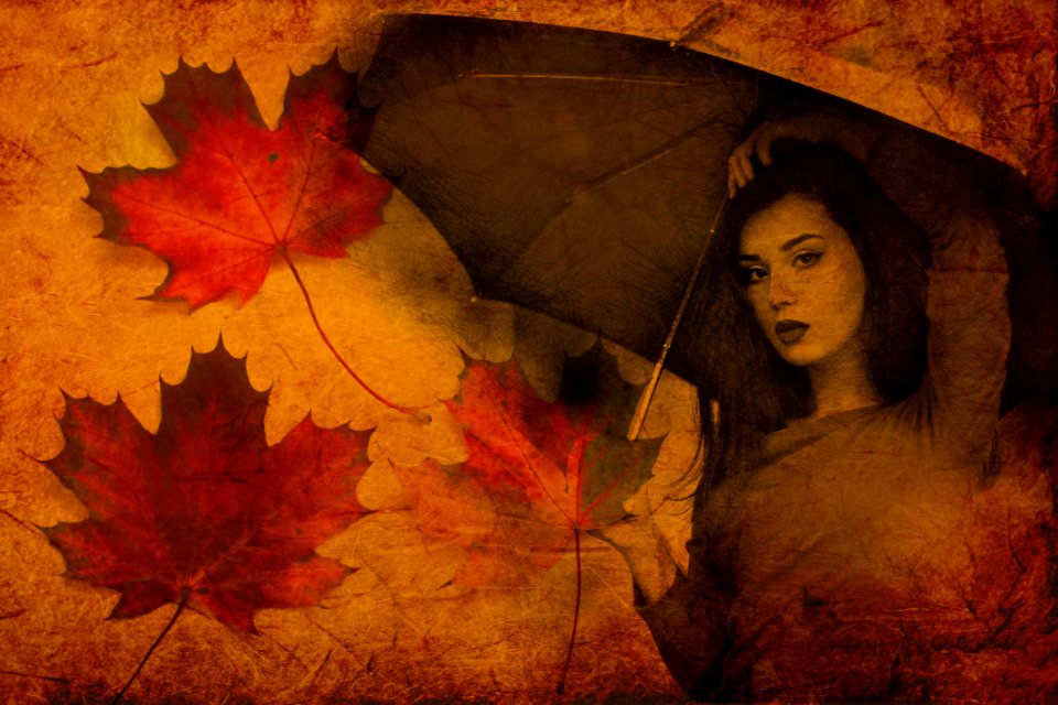Leaf Autumn Maple Leaf Yellow