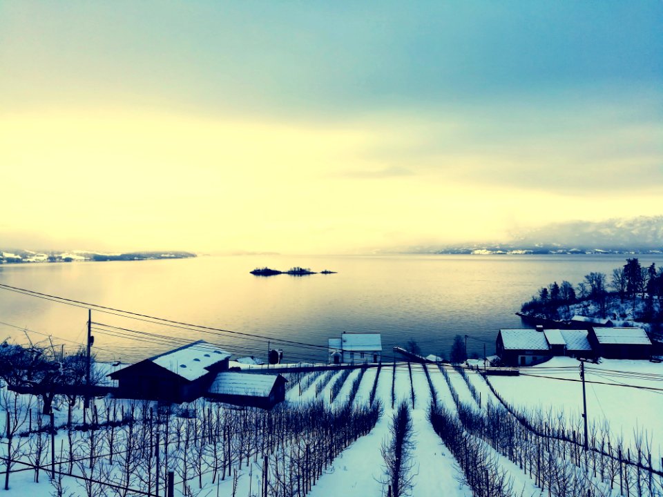 Landscape Photo Of Houses And Body Of Water