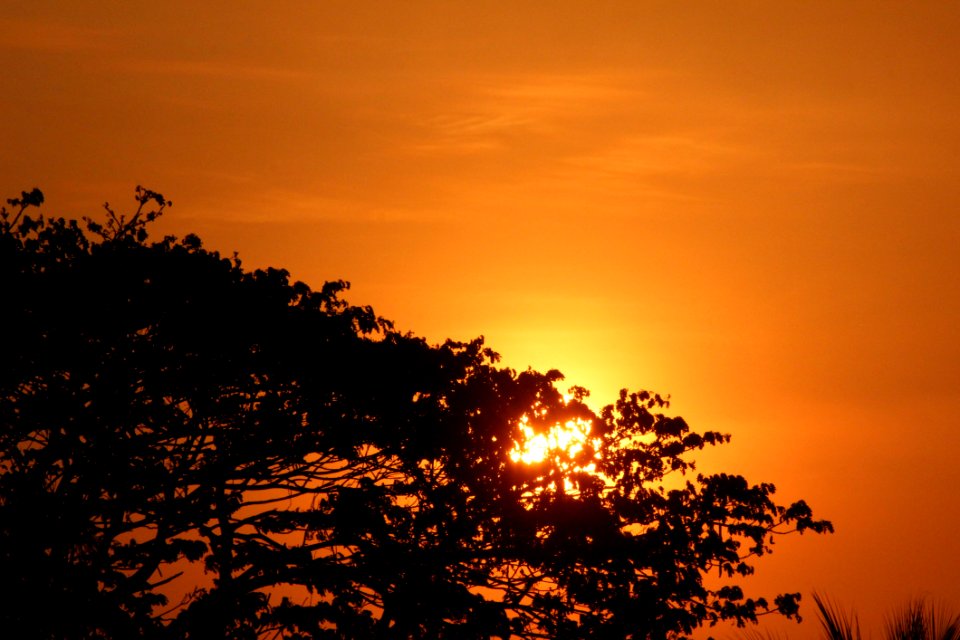 Sunset Illustration