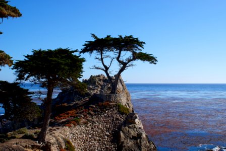 Blue Body Of Water