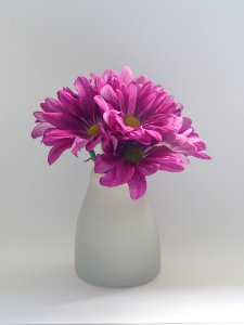 Pink Flowers On White Vase photo