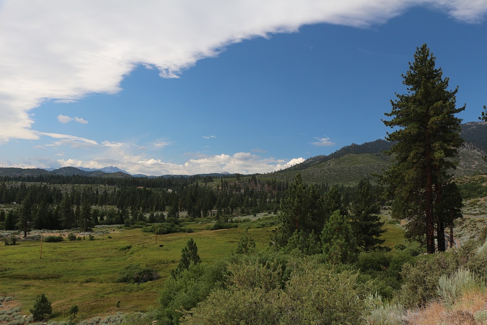 Wilderness scenery natural