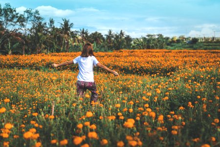 Girl Running On Yellow Flowers