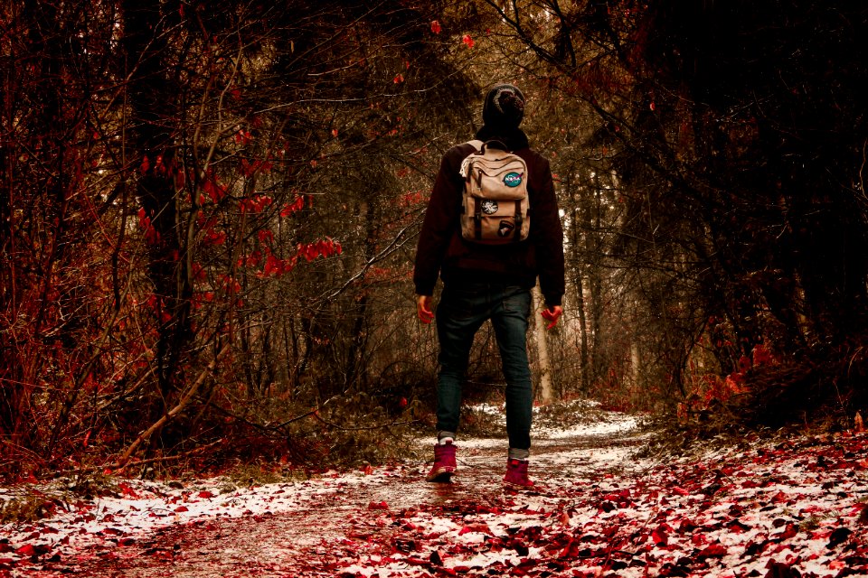 Person Wearing Black Jacket In The Middle Of Forest