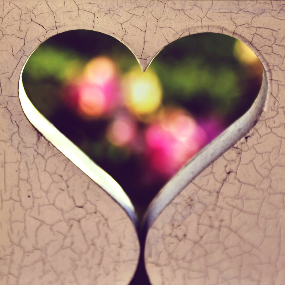 Photography Of Heart Digital Wallpaper