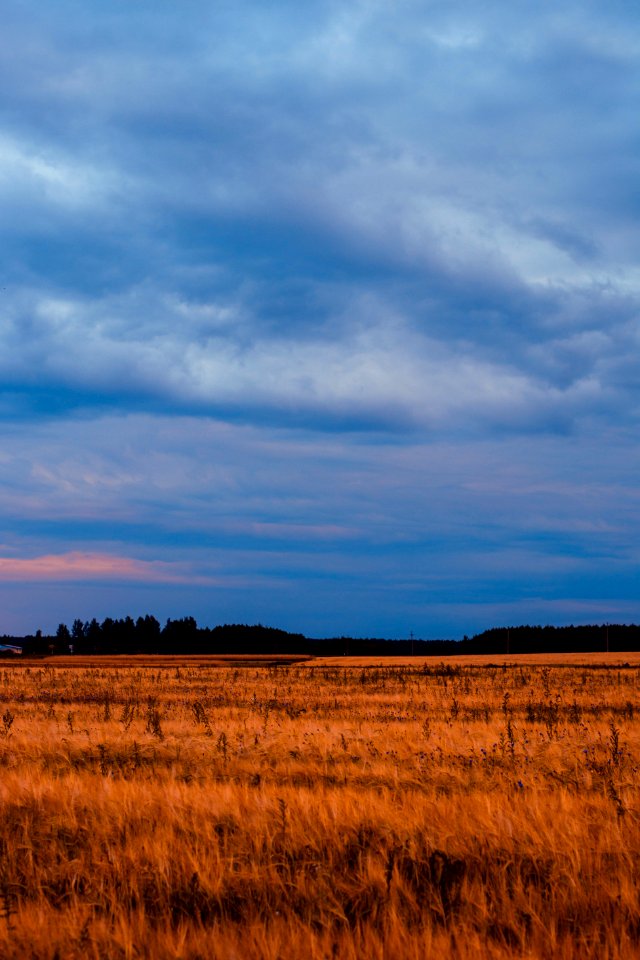 Brown Grass Field Under Blue And White Cloudy Sky photo