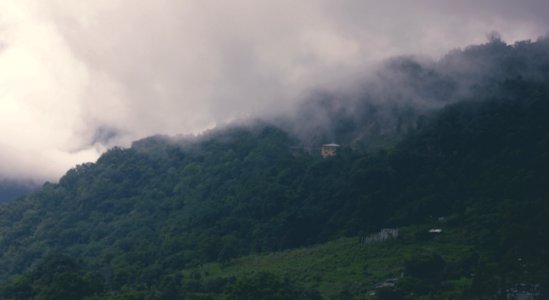 Aerial Photography Of Forest With Foggy Clouds