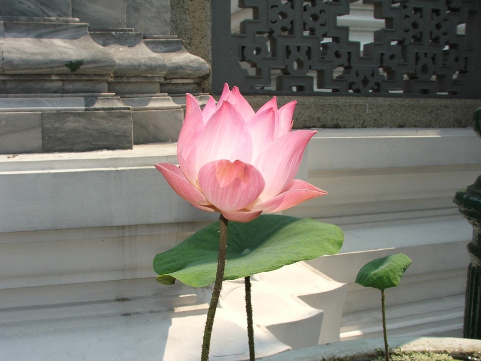 Thailand palace bangkok