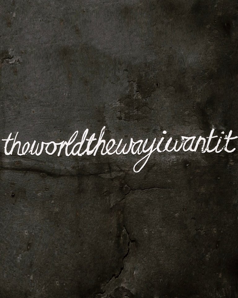 The World The Way I Want It