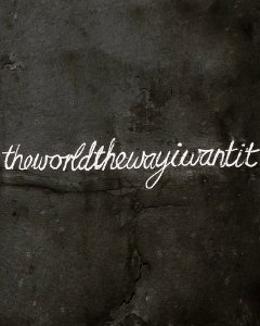 The World The Way I Want It