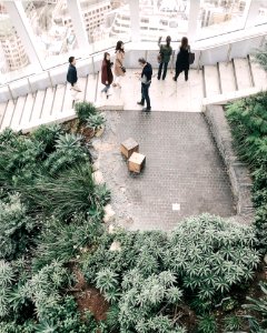 Group Of People At The Stairs