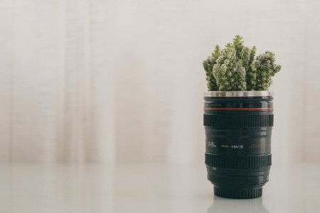 Green Leaf Plant In Black Camera Zoom Lens Plant Pot Screenshot