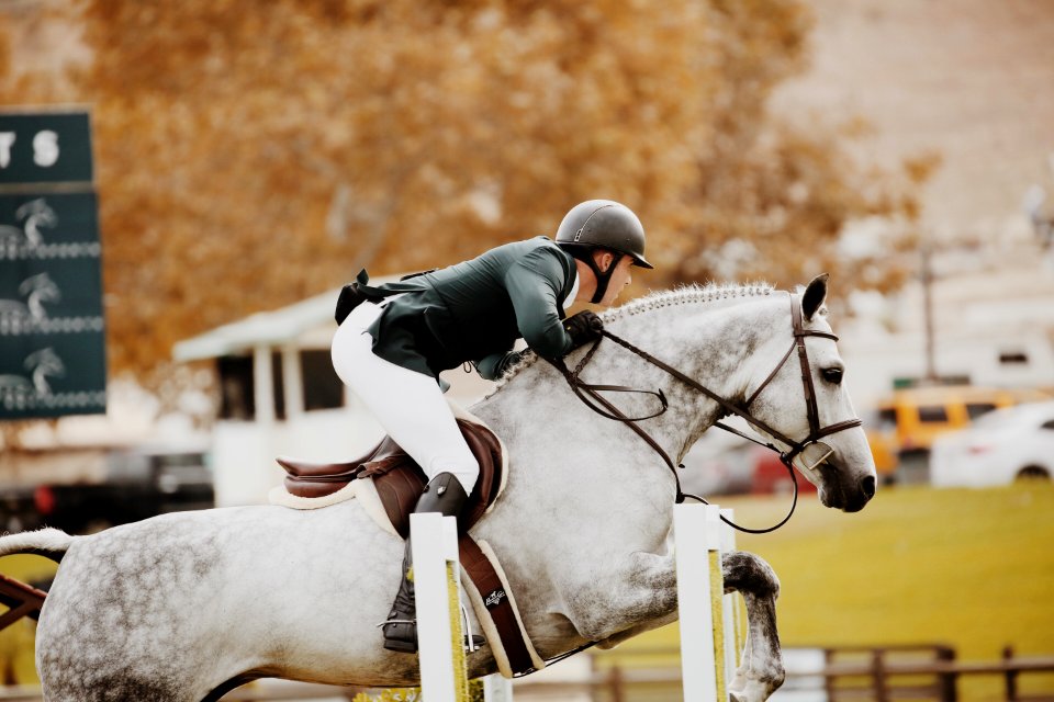 Person Riding Horse