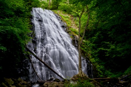 Waterfalls In Between Green Trees photo