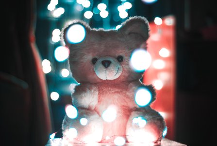Bokeh Photography Of Pink Bear Plush Toy photo