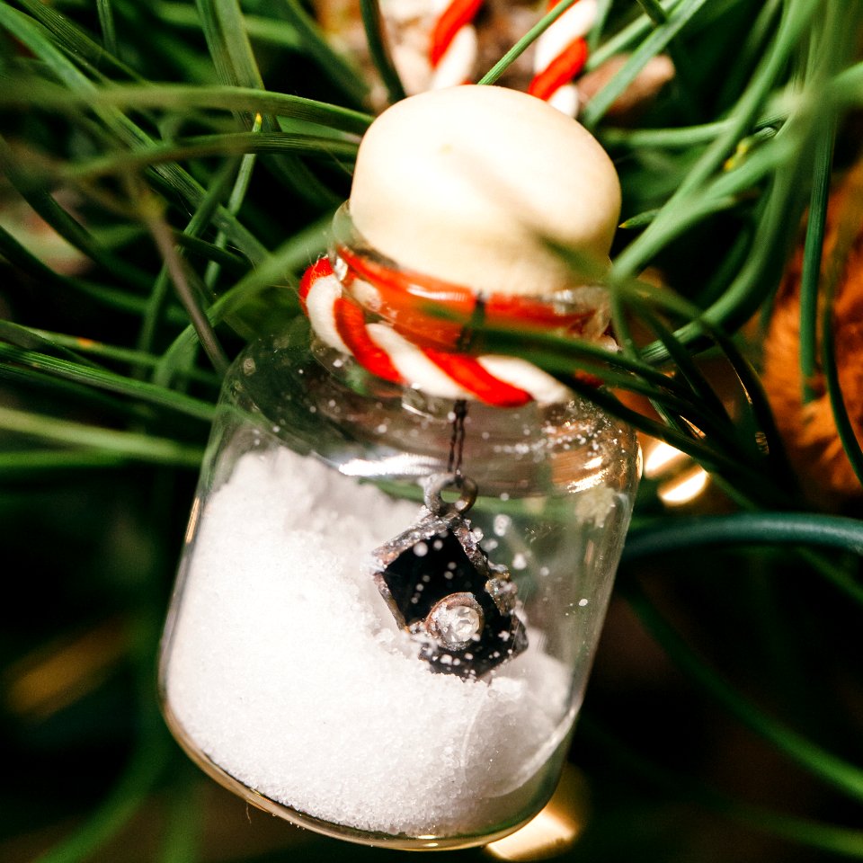 Half-filled Clear Glass Ornament With Miniature Camera