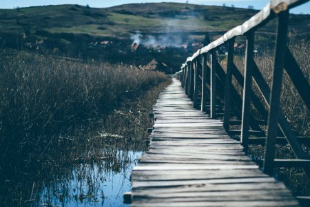 Landscape Photograph Of Wooden Bridge Going Up The Mountain