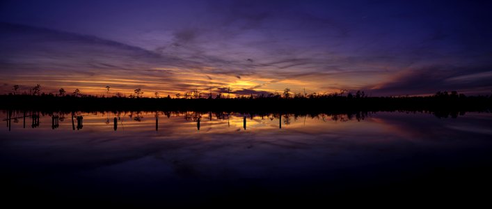 Silhouette Of Trees At Sunset photo