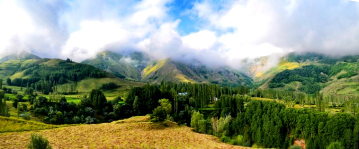 Highland Vegetation Mountainous Landforms Mount Scenery