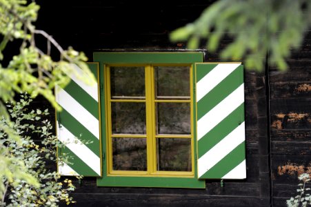 Green Yellow House Window