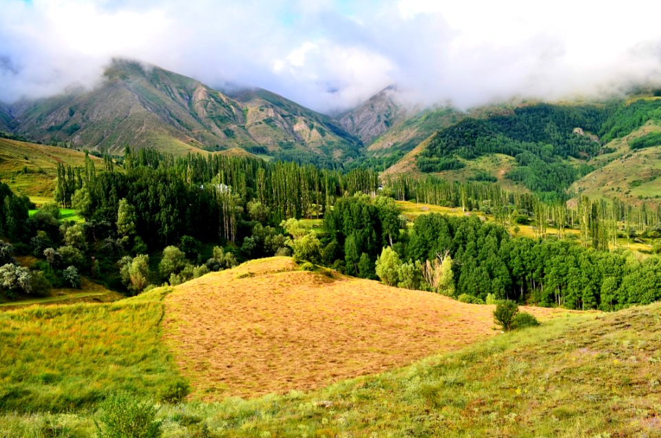 Highland Grassland Vegetation Wilderness