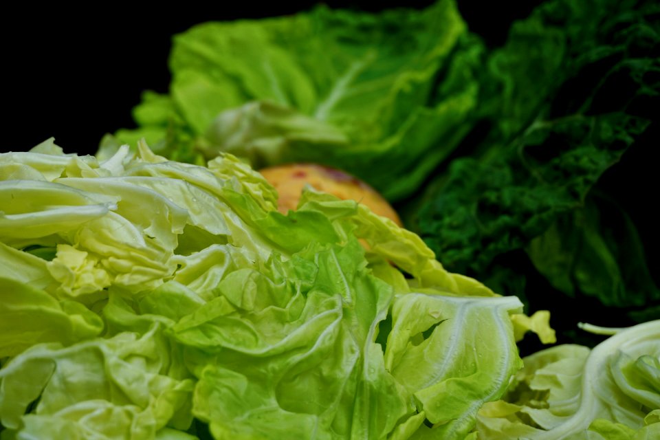 Vegetable Leaf Vegetable Cabbage Romaine Lettuce