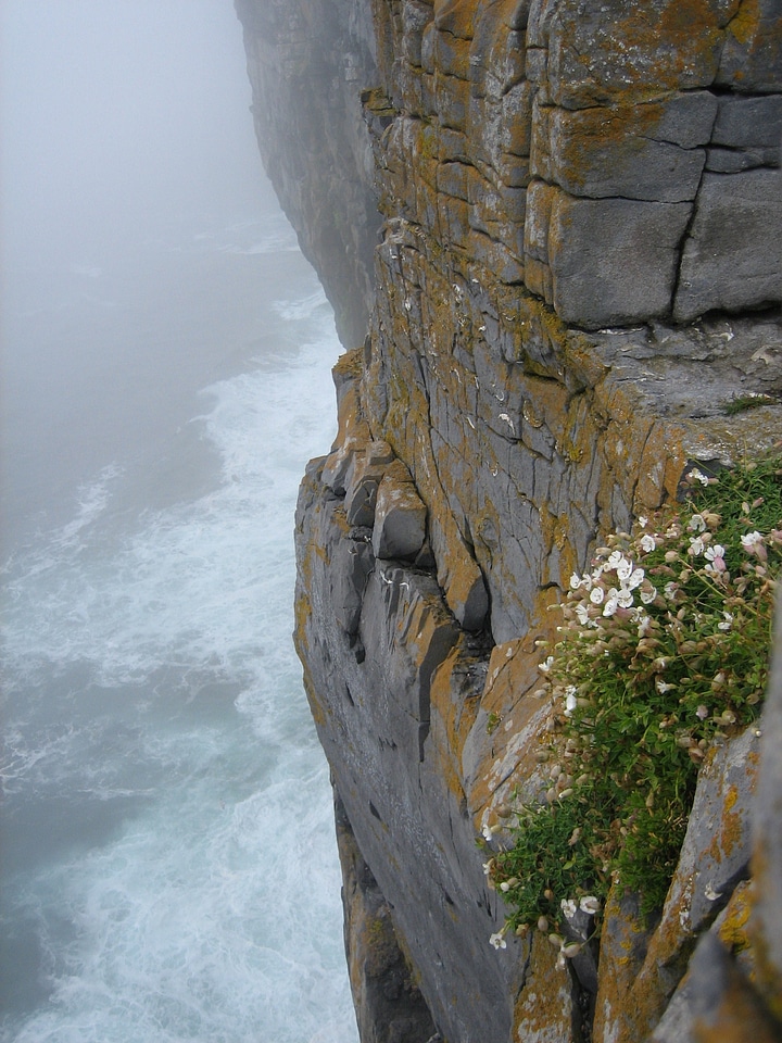 Scenery sea coastline