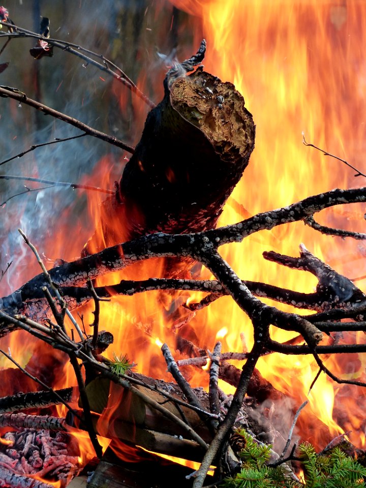 Fire Flame Branch Computer Wallpaper